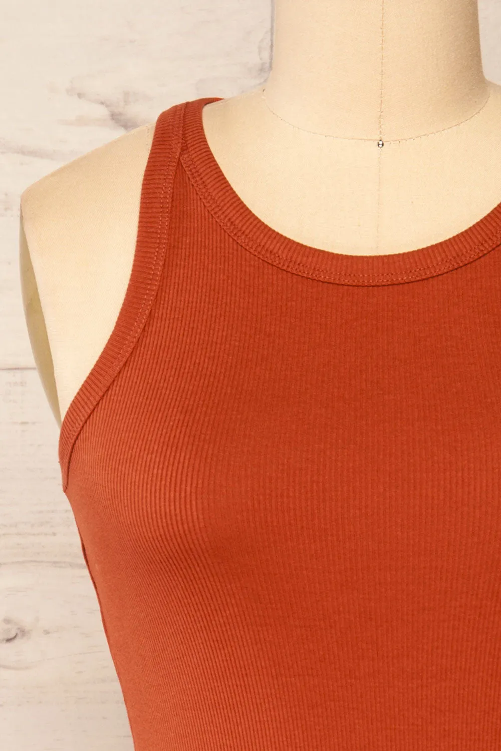 Orzesze Rust | Ribbed Fitted Short Dress
