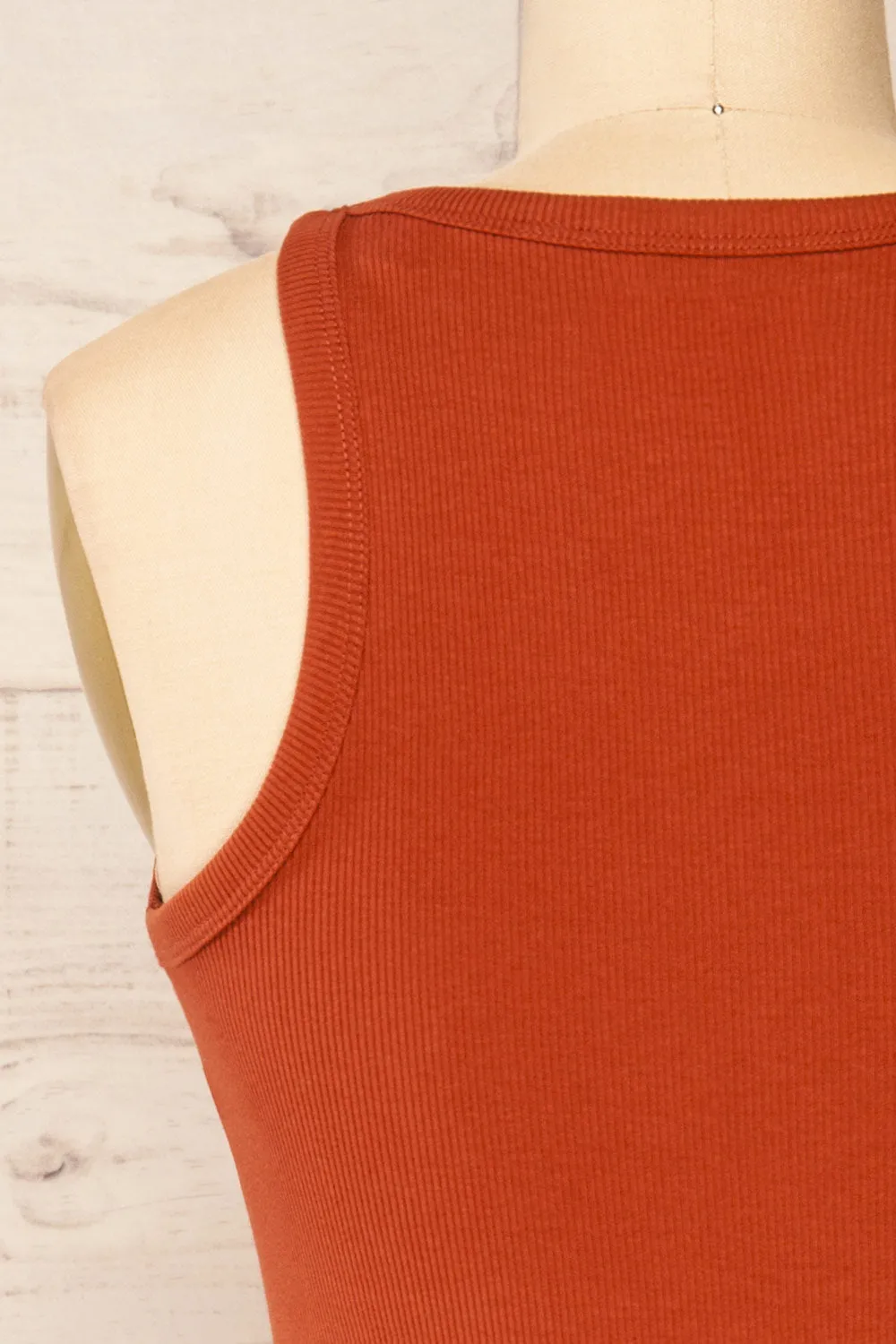 Orzesze Rust | Ribbed Fitted Short Dress