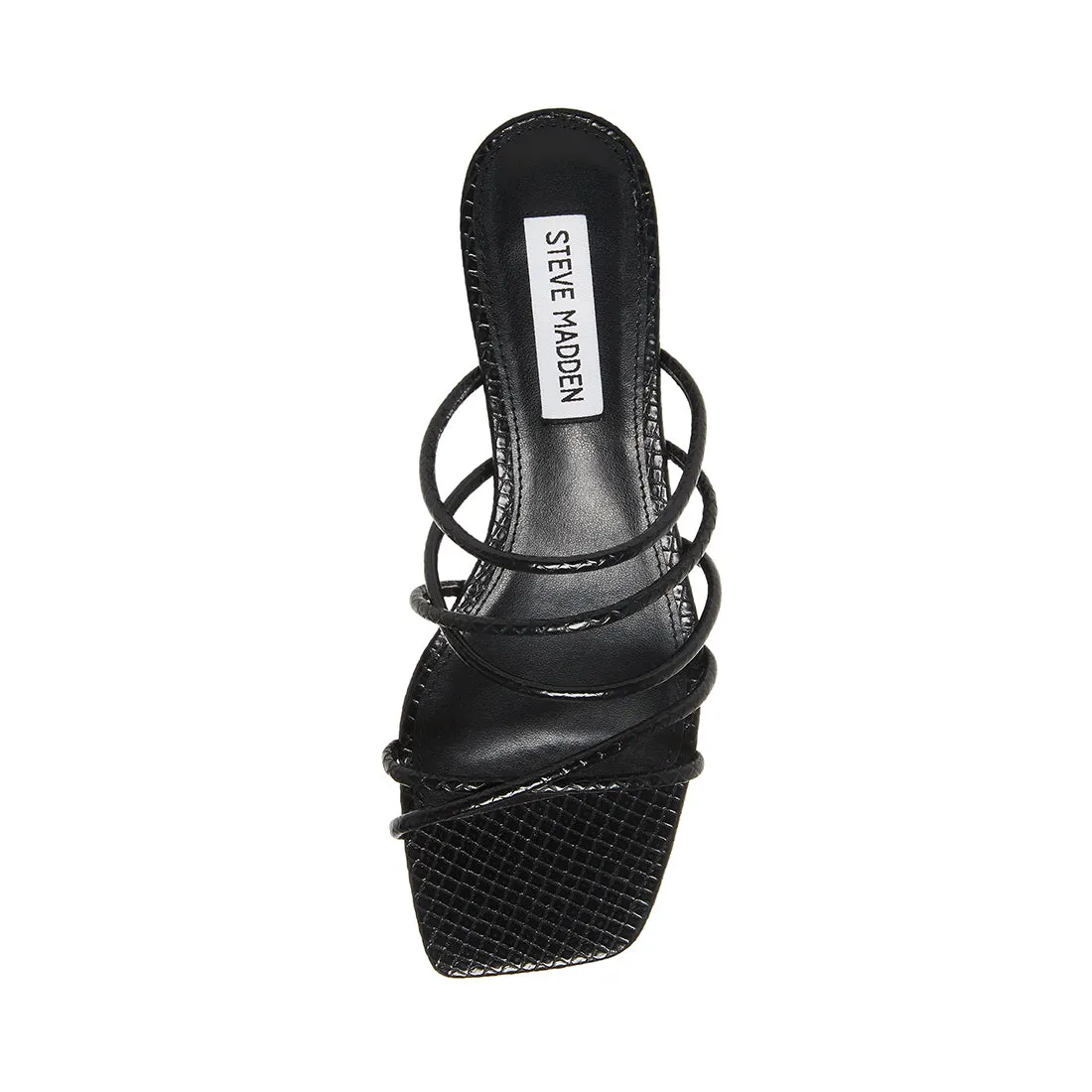 PAIGE BLACK SNAKE - SM REBOOTED