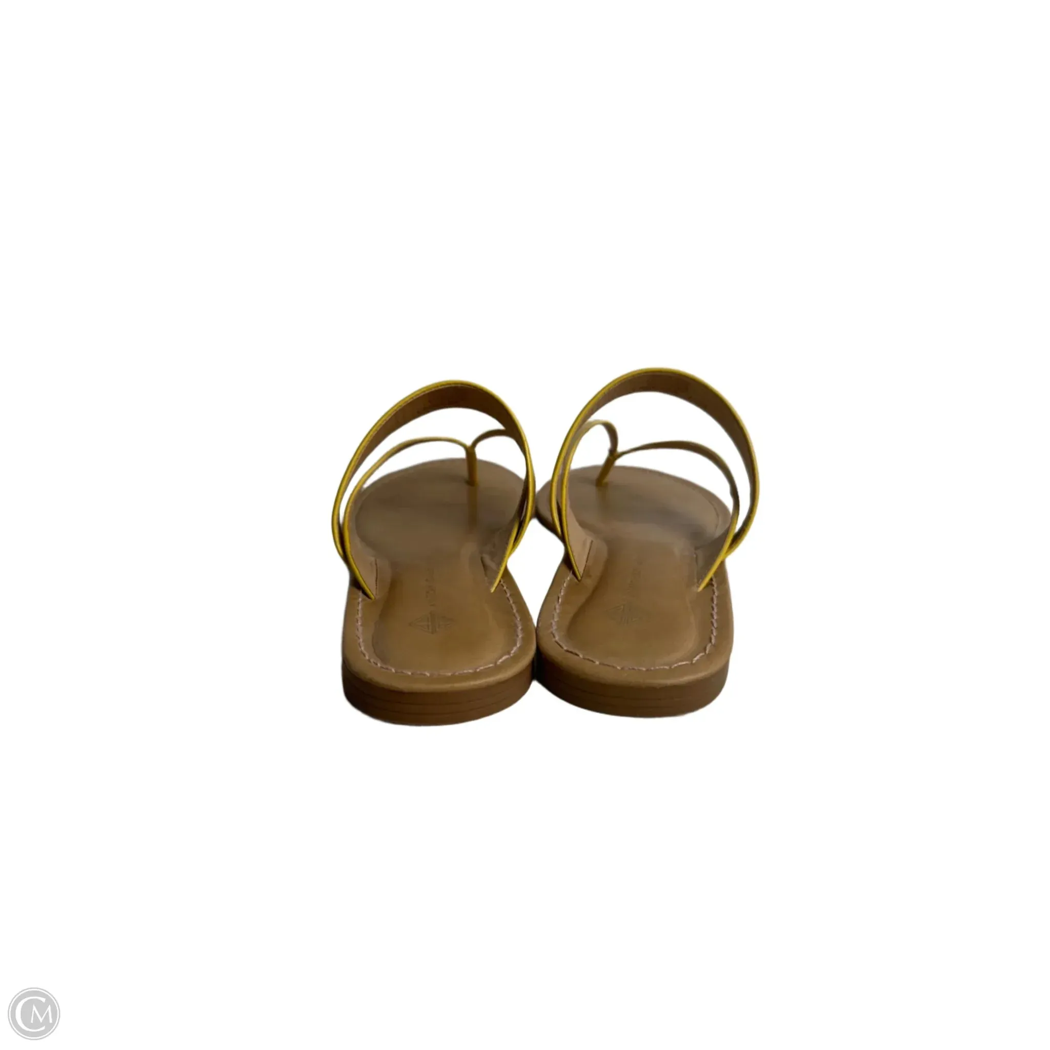 Sandals Flip Flops By Antonio Melani In Yellow, Size: 7.5