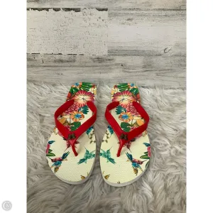 Sandals Flip Flops By Johnny Was In Floral Print, Size: 8