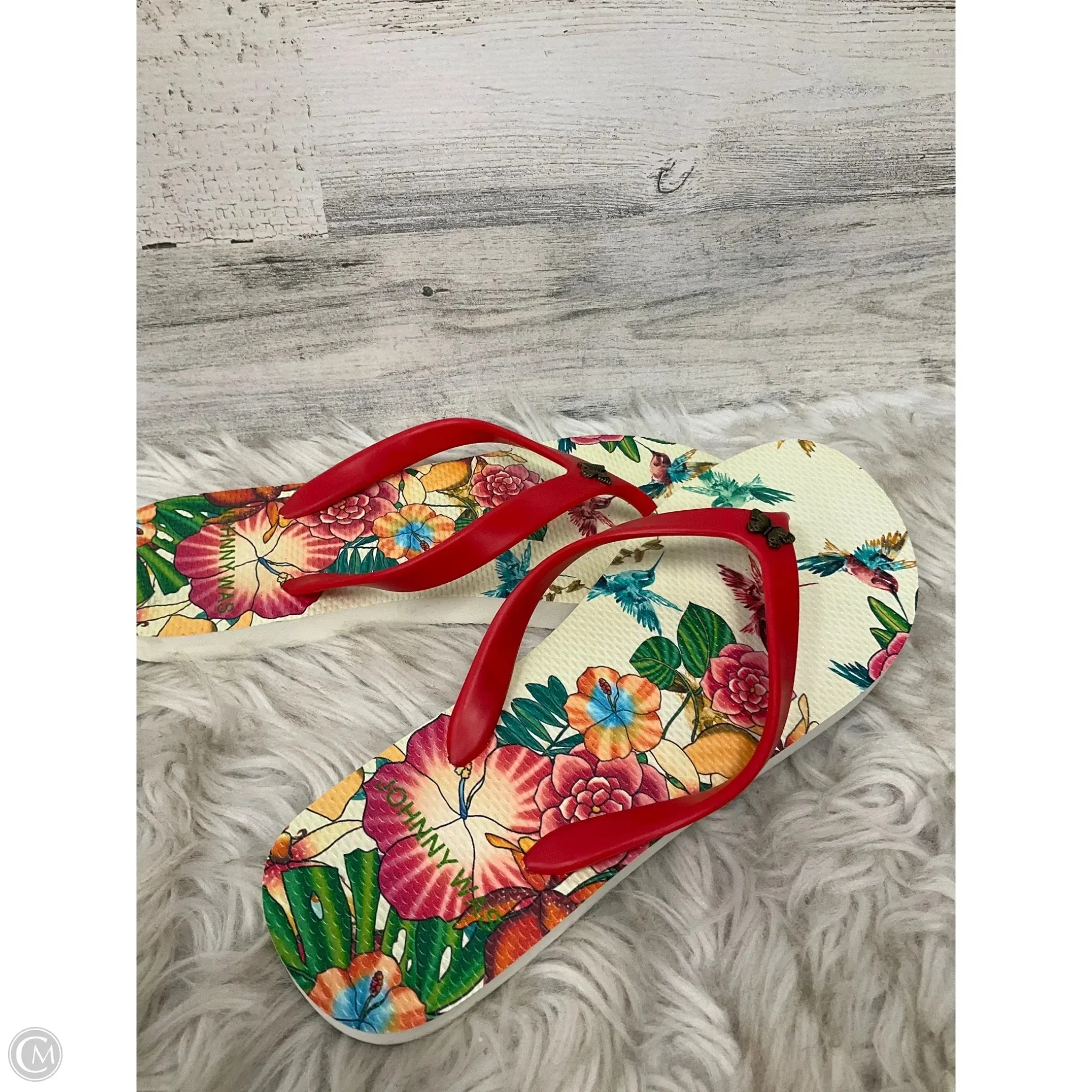 Sandals Flip Flops By Johnny Was In Floral Print, Size: 8