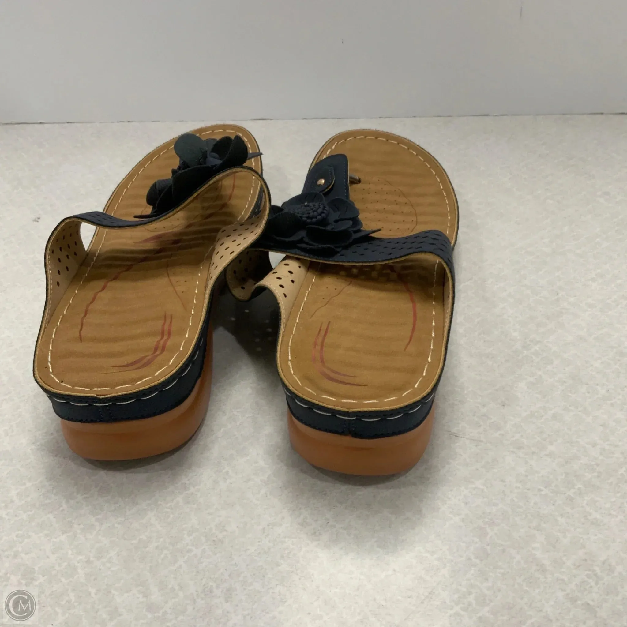 Sandals Heels Wedge By Cme In Blue & Brown, Size: 12