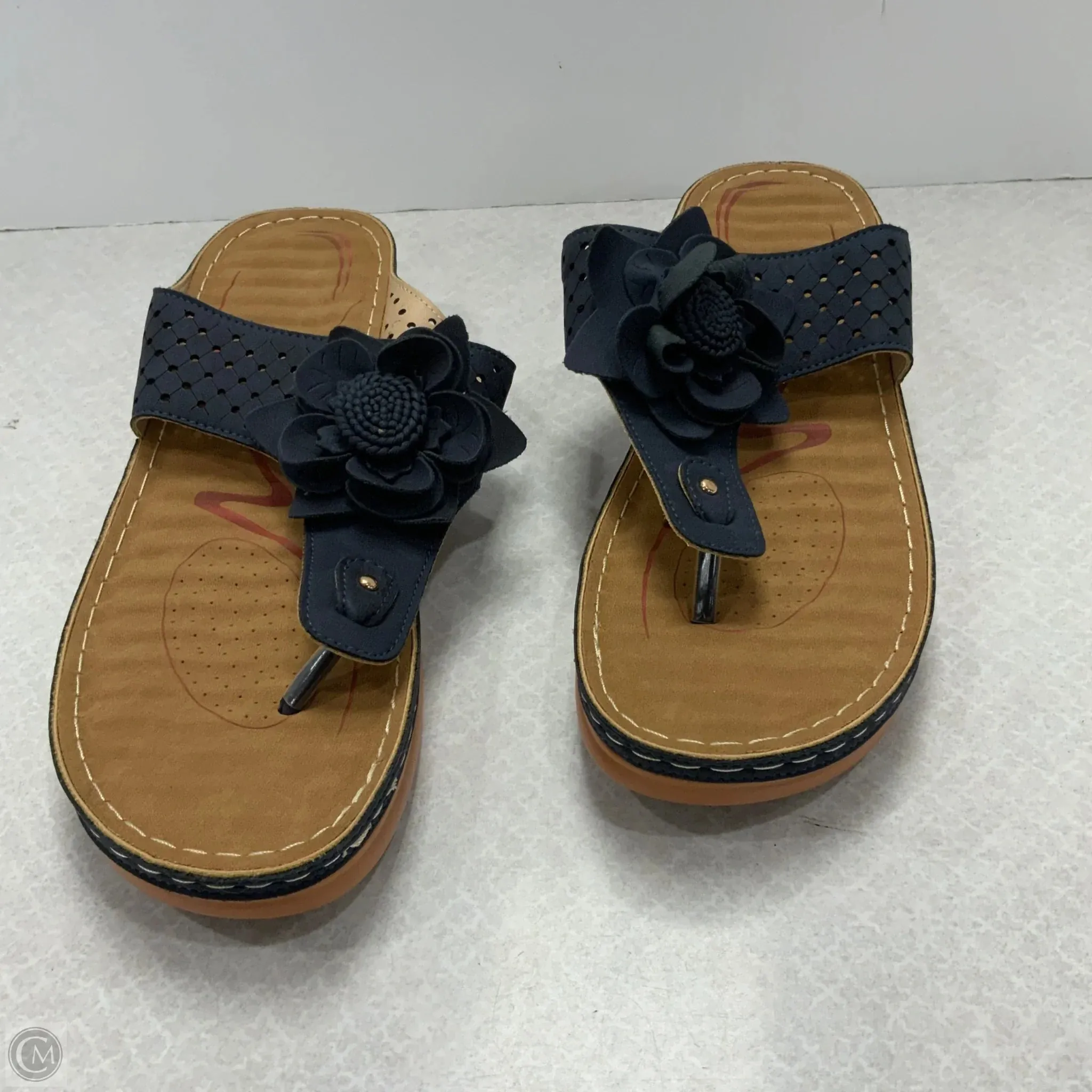 Sandals Heels Wedge By Cme In Blue & Brown, Size: 12